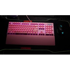 Razer雷蛇黑寡妇蜘蛛标准版电竞电脑游戏背光机械轴键盘